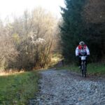 WC CrossCountry_239