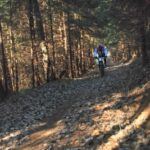 WC CrossCountry_45