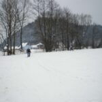 WCLanglauf 2010_37