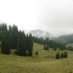 AltesAlmhausrennen 2011_105