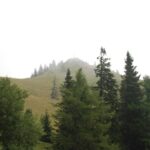 AltesAlmhausrennen 2011_106