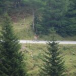 AltesAlmhausrennen 2011_107