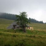 WanderungCCB_17