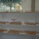Stubalpenmarathon_114