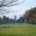 WC Orientierungslauf_26