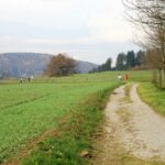WC Orientierungslauf_91