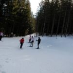 WinterchallengeLanglauf_15