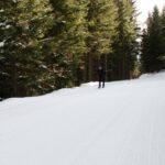 WinterchallengeLanglauf_48