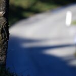 WC Crosslauf_47