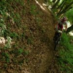 WildWombat Gnas_46
