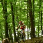 WildWombat Gnas_97