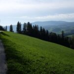 Altes Almhausrennen 2014_25