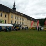 Rein_21