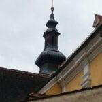 Rein_25