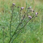 Transalp Etappe 6_14