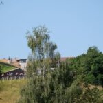 Transalp Etappe 6_17