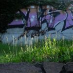 Transalp Etappe 6_5