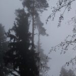 WC Orientierungslauf_7