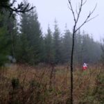 WC Orientierungslauf_8
