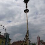 1._1.Maiausfahrv